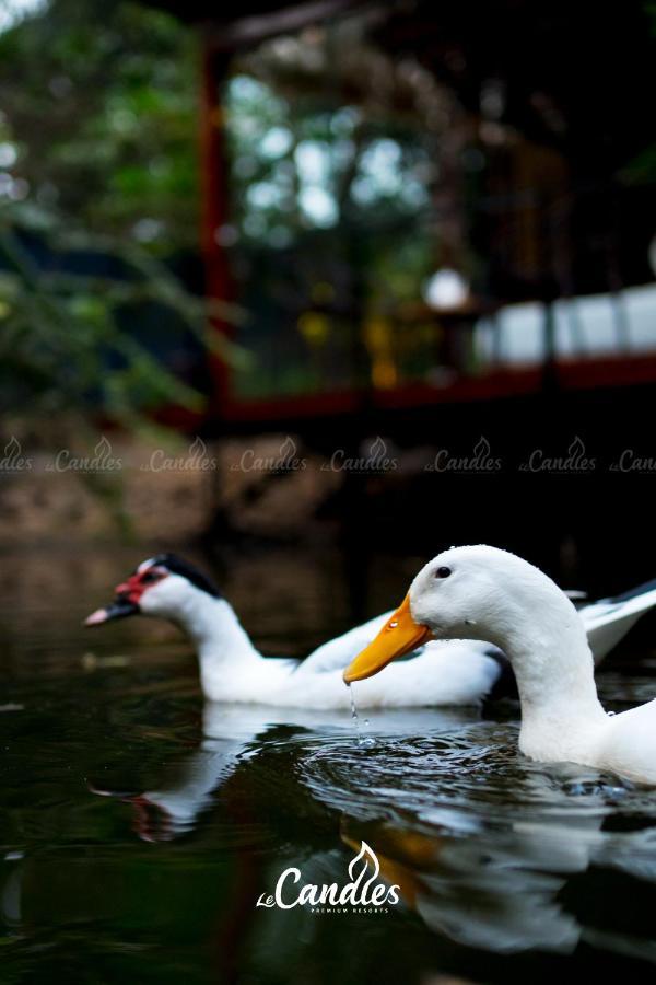 Le Candles Resort Kozhikode Exterior photo